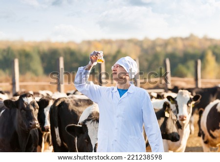 Veterinarian doctor examining bio samples at the farm cows