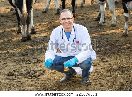 doctor inspects organic material on the ranch cows
