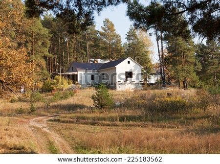 construction of brick cottages in  coniferous forest