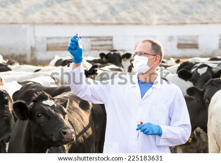 veterinarian looks for tests in vitro on the farm cows