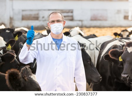 portrait of vet  doctor at  farm cattle