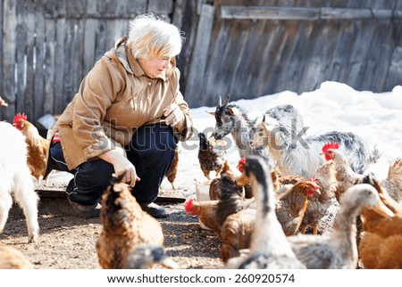 happy adult woman cares little goats and chickens on  home farm