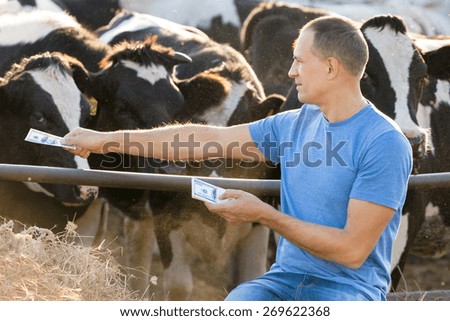 Men with money on a cow farm.Conceptual Image to Represent the Cost of Raising animals.