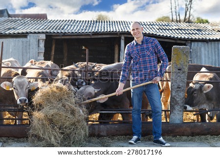 Male rancher in a farm with cattle at  background