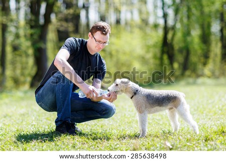 dog drinking water from hands of men during summer heat