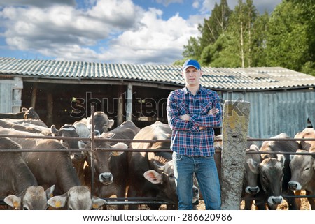 male cow farmer on farm on a sunny day