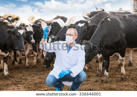 veterinarian inspects livestock farm