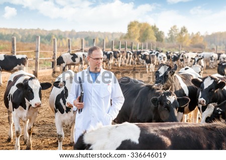 veterinarian in a white robe on cattle farm