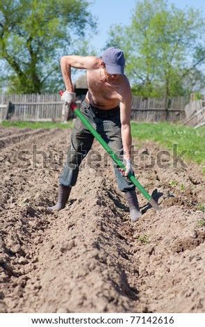 man digs kitchen garden
