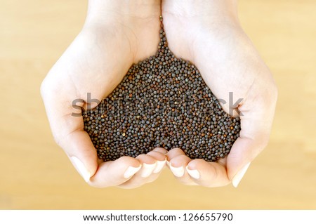 Black mustard seeds in woman\'s hands forming heart shape