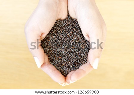 Black mustard seeds in woman\'s hands