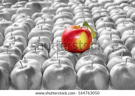 Red Yellow Apple On Black And White Apples Background, Uniqueness Concept