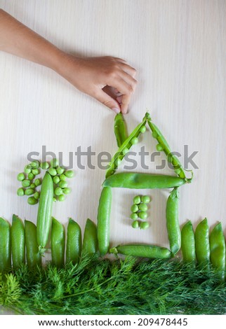 Playing with vegetables, child's kid's hand making picture of pod of peas and fennel. Cooking at home or  learning at culinary class.