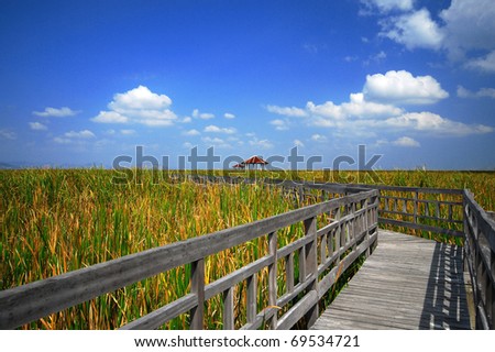 Nice Field with long Path,Thailand,  tourist attraction