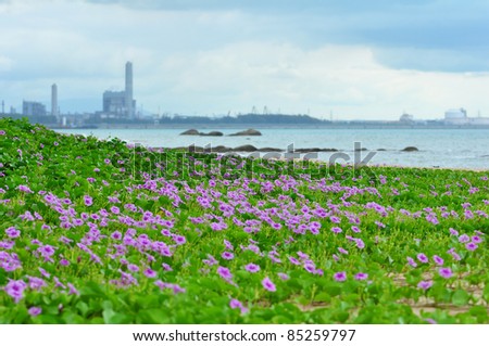 Beautiful purple flowers on the Oil and Gas plant background