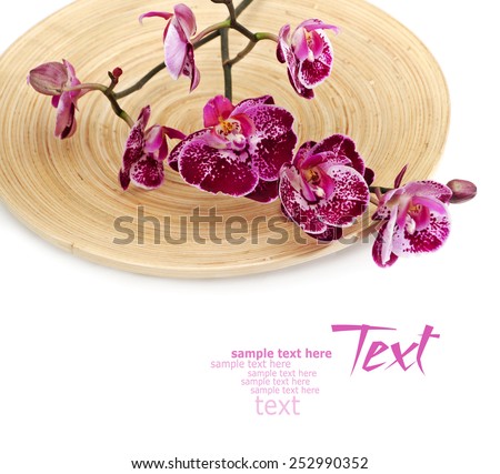 spa background with elegant orchid on a bamboo dish