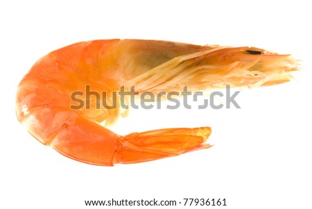 fresh shrimp isolated on a white background