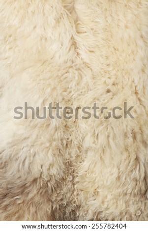 Sheep Skin