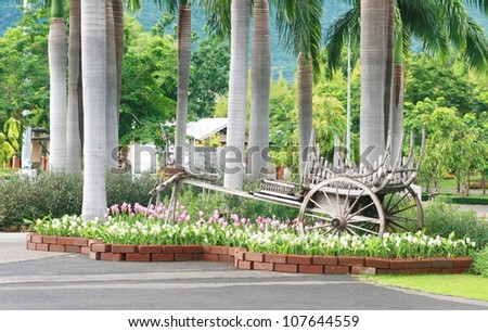 Old wood ox carts in garden, Thai style