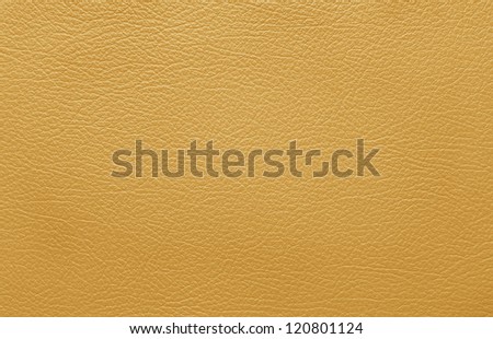 brown leather skin
