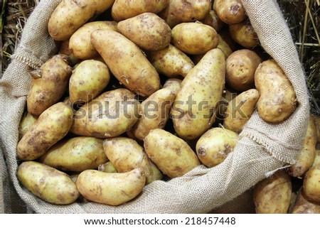 potato in sack bag