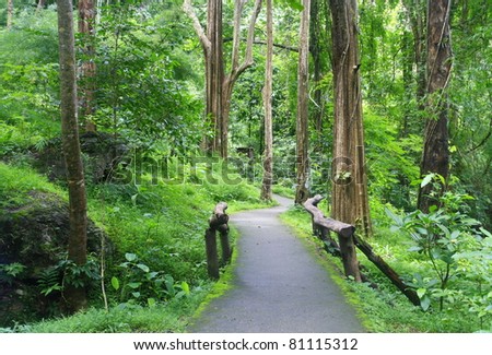 Roadway entrance to forest, Chiangmai, Thailand