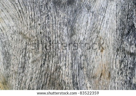 gray wood bark texture