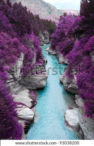 purple forest and blue stream