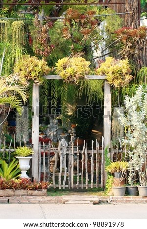 wooden house gate with natural hang plant