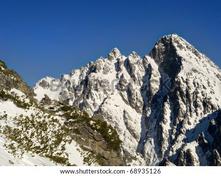 View of a white mountains with mountain pine and Chamois in the foreground. Lomnica in the Slovakian High Tatra Mounains. Slovakia.