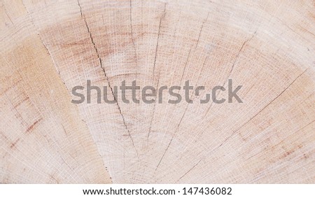 circle tree texture