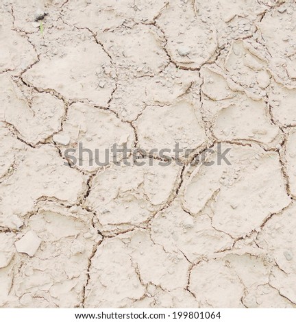 Dry soil texture on the ground