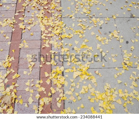 Brick pavement blocks with leaves