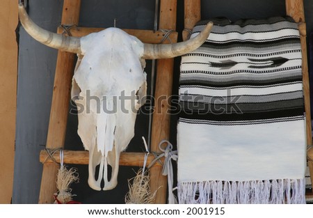 Bleached cow skull on wooden frame with indian blanket