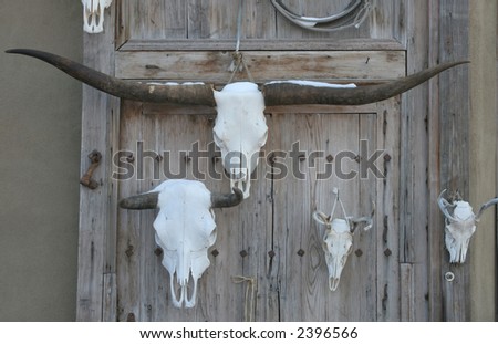 Various bleached skulls hanging on a wall at an outdoor market in New Mexico