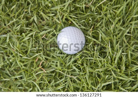 top view Golf ball on  grass
