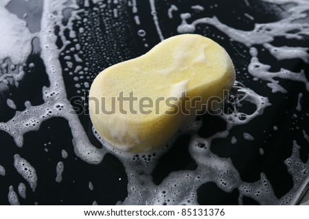 Sponge Wash