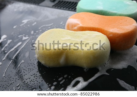 sponge colors