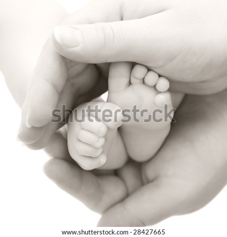 Pictures Baby Feet on Baby Feet In Mother S Hands  Black And White Image  Stock Photo