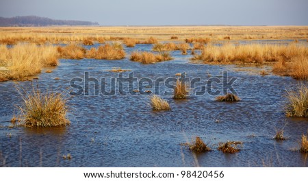 Lake in spring nearby Vadu village in Danube Delta Biosphere Reserve, Romania.