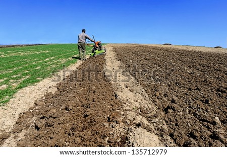 The farmer processes a spring field the motor-block