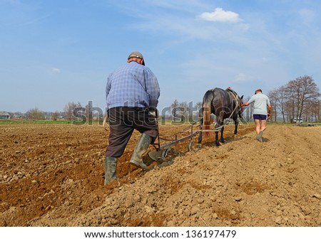 Fallowing of a spring field by a manual plow on horse-drawn
