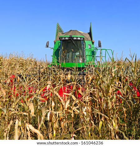 Corn harvesting combine