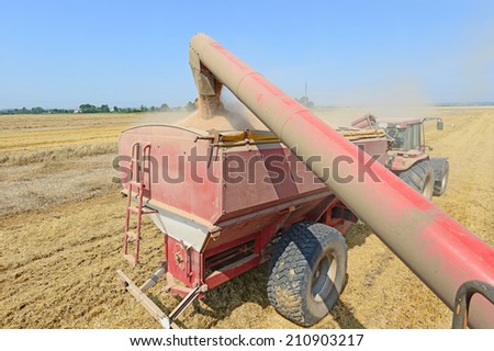 Overloading grain harvester into the grain tank of the tractor trailer