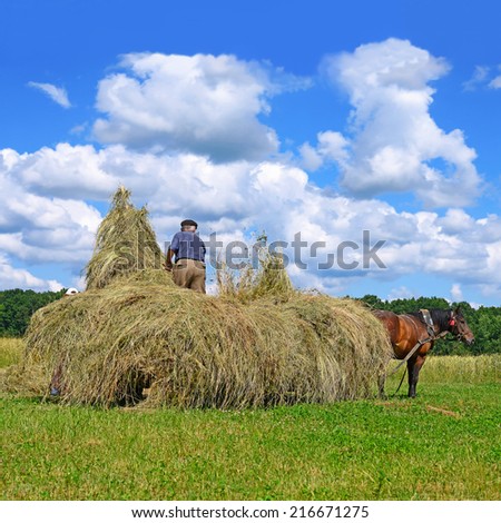 Transportation of hay by a cart