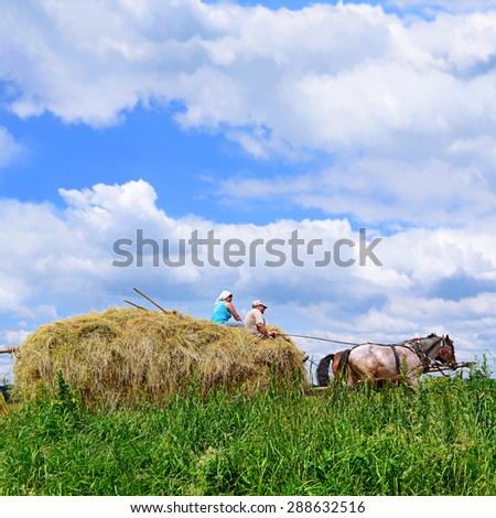 Kalush, Ukraine - July 18: Transportation of hay by a cart in the field near the town Kalush, Western Ukraine July 18, 2015