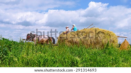Kalush, Ukraine - July 18: Transportation of hay by a cart in the field near the town Kalush, Western Ukraine July 18, 2015