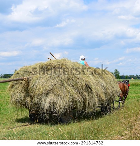 Kalush, Ukraine - July 25: Transportation of hay by a cart in the field near the town Kalush, Western Ukraine July 25, 2015
