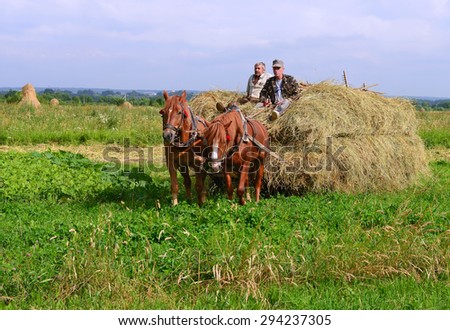 Kalush, Ukraine - July 28: Transportation of hay by a cart in the field near the town Kalush, Western Ukraine July 28, 2015
