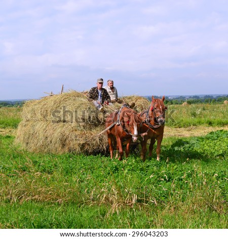 Kalush, Ukraine - July 28: Transportation of hay by a cart in the field near the town Kalush, Western Ukraine July 18, 2015